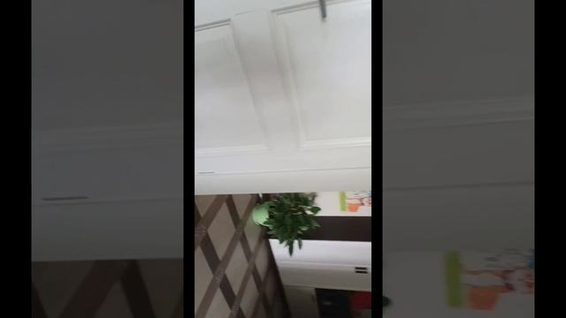 1000006898.mp4