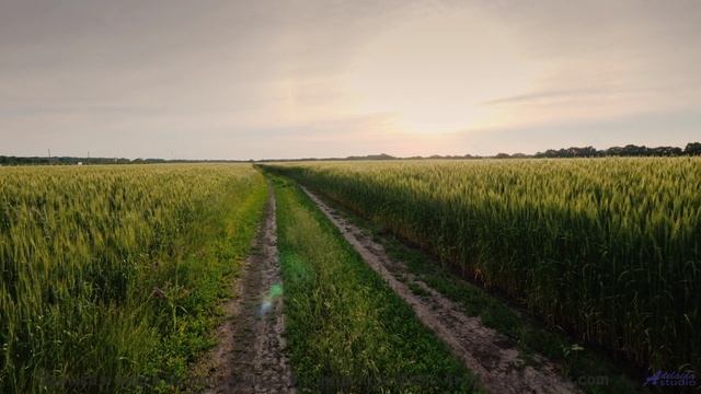 Музыка, от которой хочется бросить все и путешествовать! - Your Teasing Potentials -- The Agrarians
