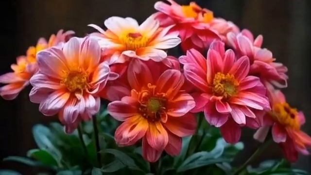 Инструментальная музыка “Спираль забвения”