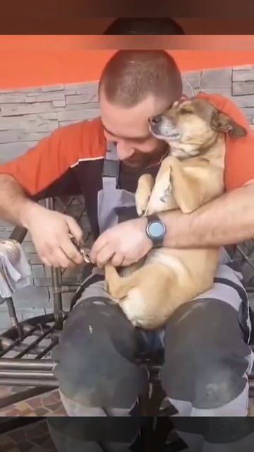 прикольно