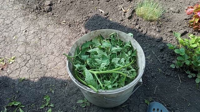 деревенская жизнь, заготовки, работы хватает