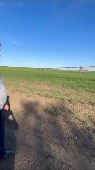 отзыв победа