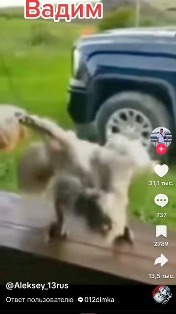 раенный прокурор