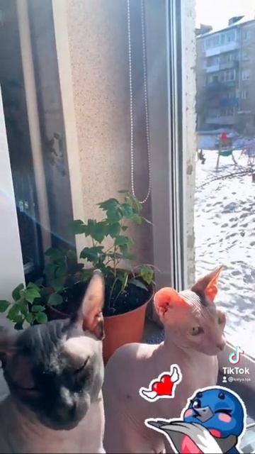 7 марта 2022 г.