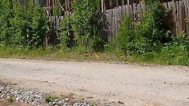 собрали из того что было