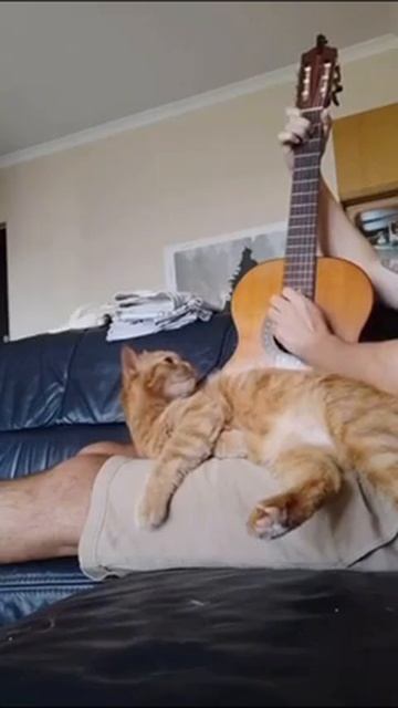 Вокальная партия удалась 🐱😁😁 (звук)