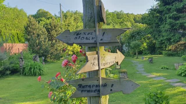Сказочный дом. Утро🌞15 июня 2025 года, Балтийск.🕊️Птицы начинают петь очень рано, в 3 часа утра.☀