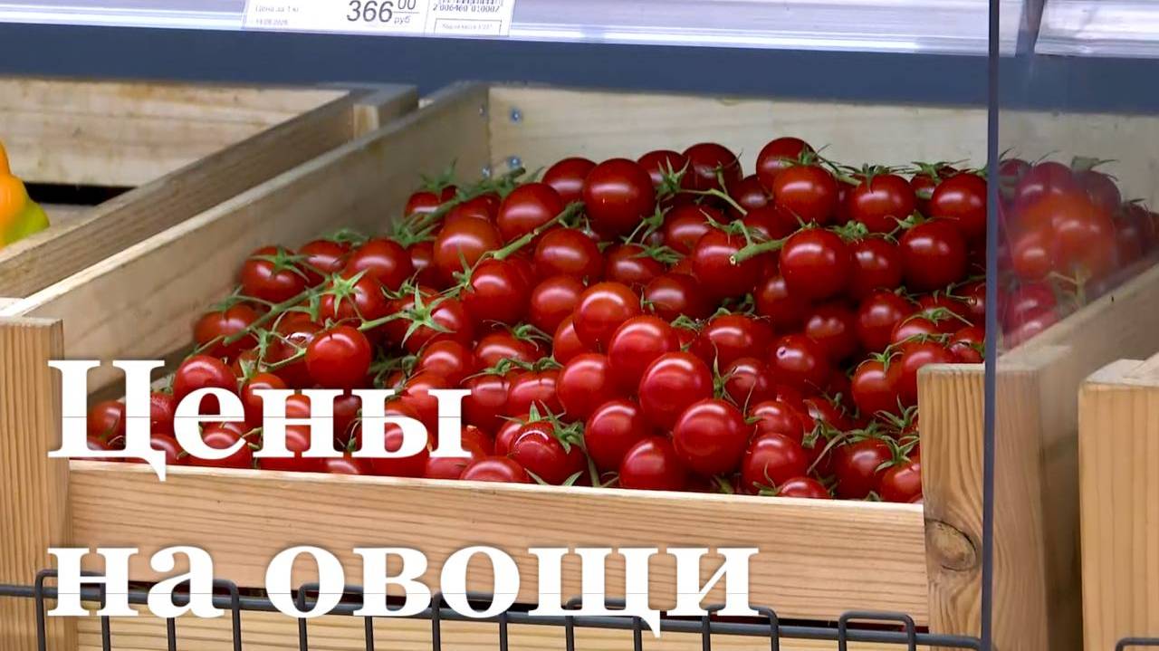 Помидоры в ЛНР стали дешевле на 15%