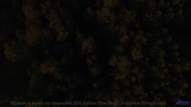 Трек, который вы будете слушать, когда в сотый раз заблудитесь вместе - Paper Mate -- HoliznaCC0 --