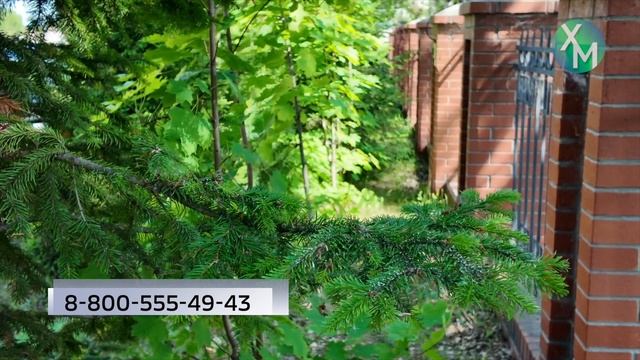 Порядка 400 обращений по поводу укусов клещей зафиксировано в Ханты-Мансийске