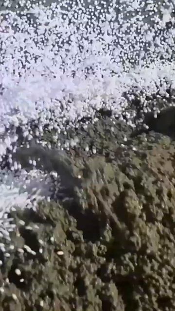 Используйте раствор для заливки полов и крыши! #растворвмешках #жидкийполистиролбетон