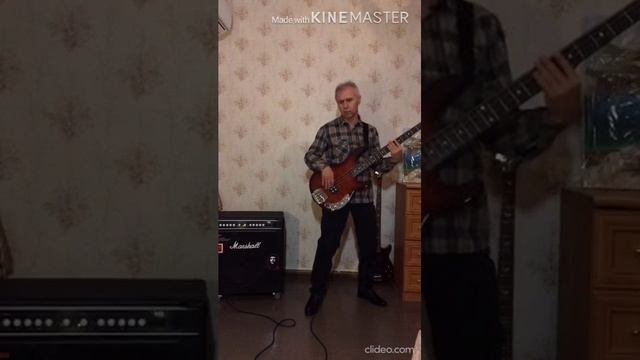 Madonna - Jump (Bass cover)