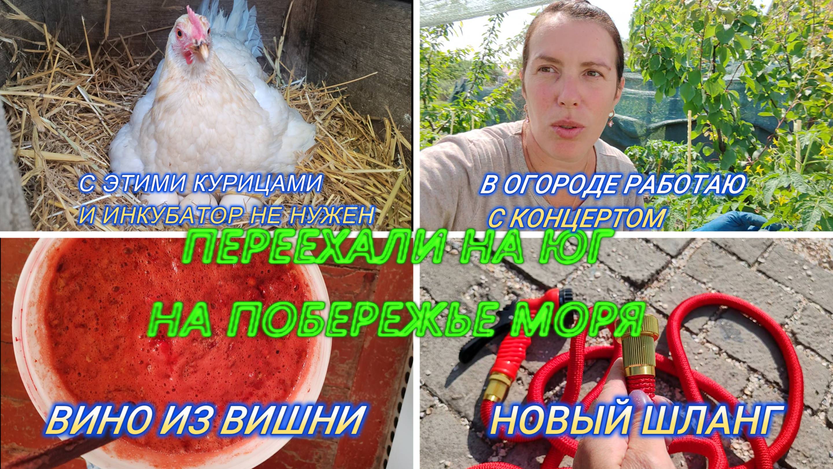 ЖИЗНЬ НА ЮГЕ, СОБРАЛА ВИШНЮ НА ВИНО, НОВЫЙ ШЛАНГ
