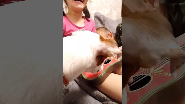 VID-20250428-WA0006.mp4