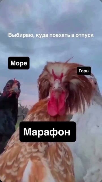 5DAB4429-473B-44C8-9638-D682BF624397