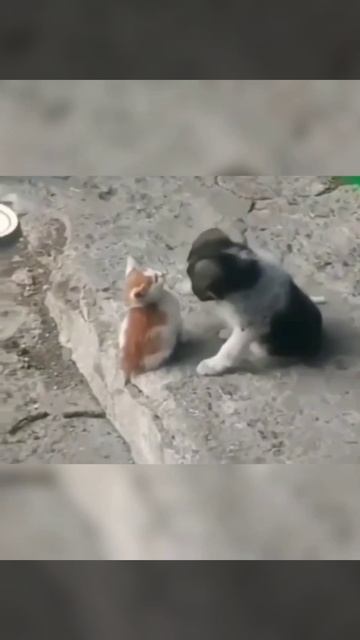 юмор
