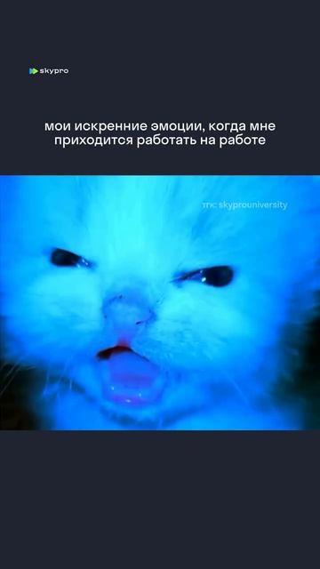 За чтооо