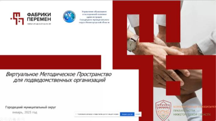Виртуальное Методическое Пространство для подведомственных организаций