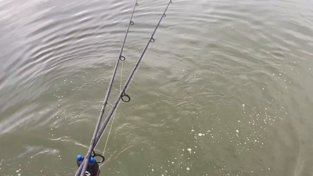 1000089774.mp4