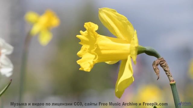 Эта композиция создана колебаниями мультивселенной - услышьте бесконечность! - The Next Time You Fee