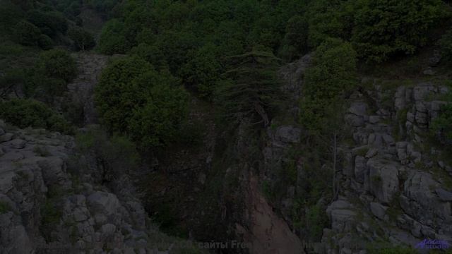 Ветер шумит под музыку так, как не слышали раньше - Hide-and-Seek -- Ketsa -- Vitality