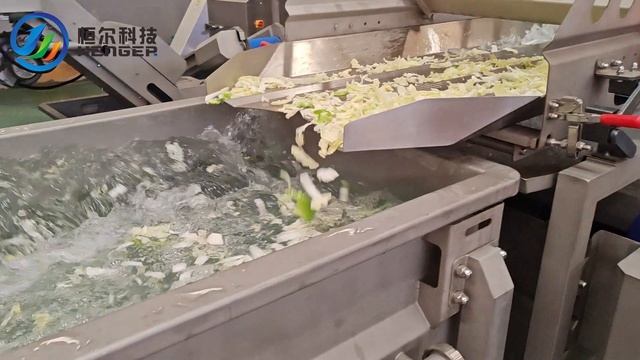 Линия автоматической нарезки, мойки и сушки овощей и фруктов от HENGER Россия