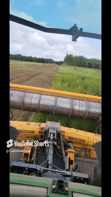 Ягоду не трогаем! Все для расчистки и ввода земель в оборот 89261385927 #ротоватор #farming #мульчер