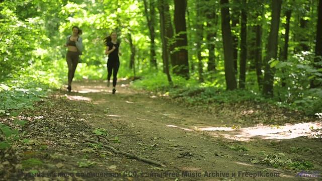 Звук уносит туда, где заканчиваются карты и дороги - Давай хором споём -- POVALISHIN DIVISION -- Вып