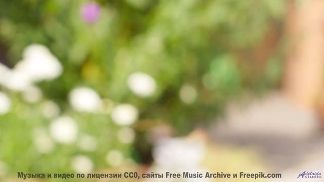 Сердце расцветает на фоне лесов и мощного саунда - Family -- Tadz -- 2020