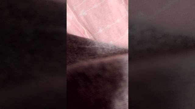 Распаковка LaBuBu