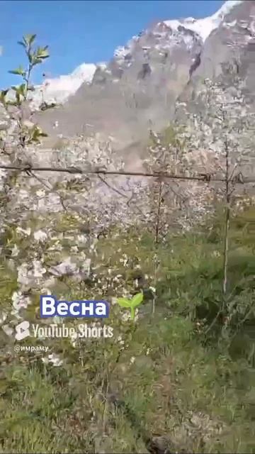 пришла весна 🌱🌱🌱🌱🌱