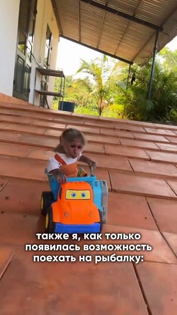 То, что поднимает мне настроение!
