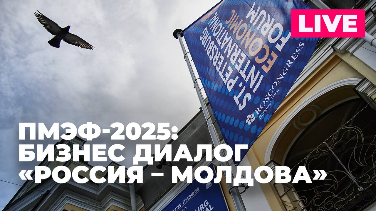 Бизнес-диалог «Россия – Молдова» проходит на полях ПМЭФ-2025 в Санкт-Петербурге