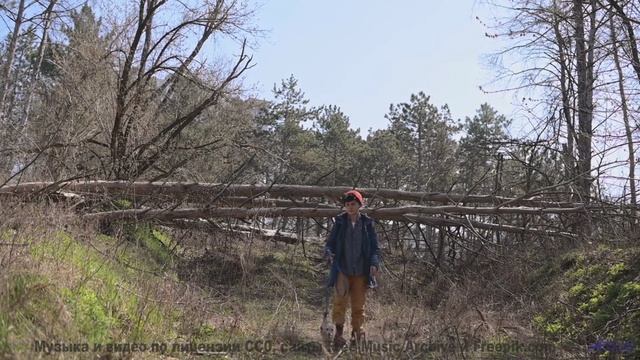 Песня, которая звучит как обещание вечной любви... - A Thin Line -- Kirk Osamayo -- Season Two (ORAN
