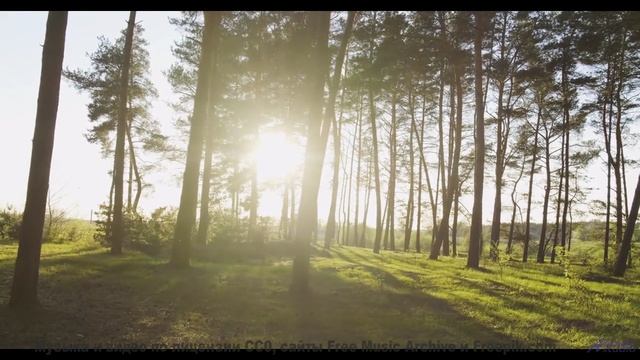 Пейзажи звучат громче слов под такой мелодичный фон - Daydreams -- Crowander -- Uplifting Funband (p
