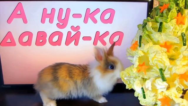 А НУКА ДАВАЙ КА❤️