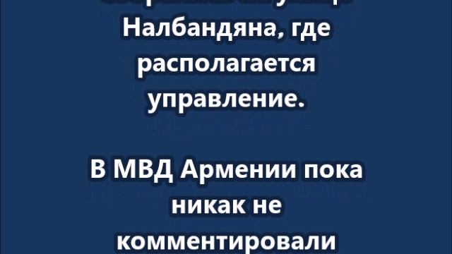 В Армении задержали президента компании Ташир Самвела Карапетяна