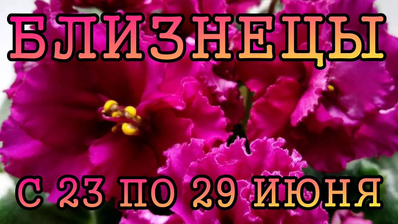 БЛИЗНЕЦЫ таро прогноз на неделю с 23 по 29 ИЮНЯ 2025 года.