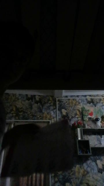 VID_20250618_210353