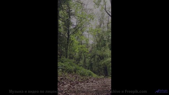 Эта музыка вдохнёт жизнь в каждый пейзаж - The Sadness of a Slinky Dog -- A Tape Full of Mistakes --