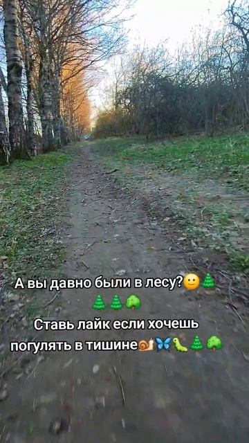 Прогулка по лесу🌿🌲☘️🌳🌱
