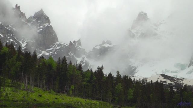 Запретная красота - то, что вам не должны видеть! - New Millenium Jam -- New Millennium String Band