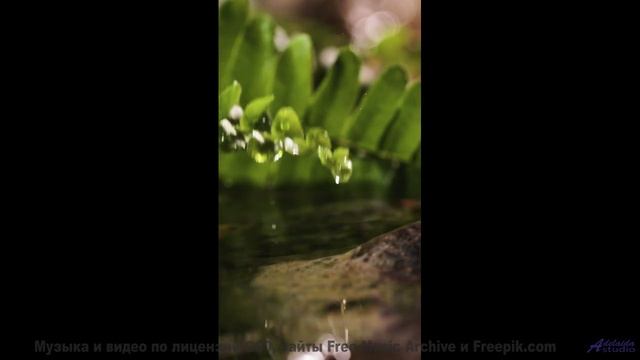Этот трек сделает отдых незабываемым - Se pulcro (XXXVIII) -- opo -- Estudios Indigeniformes