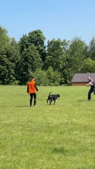 video_2025-06-18_00-27-22