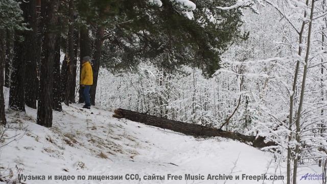 Линии полей и лесов соединяются в одном ритме - Music -- A. Cooper -- A.