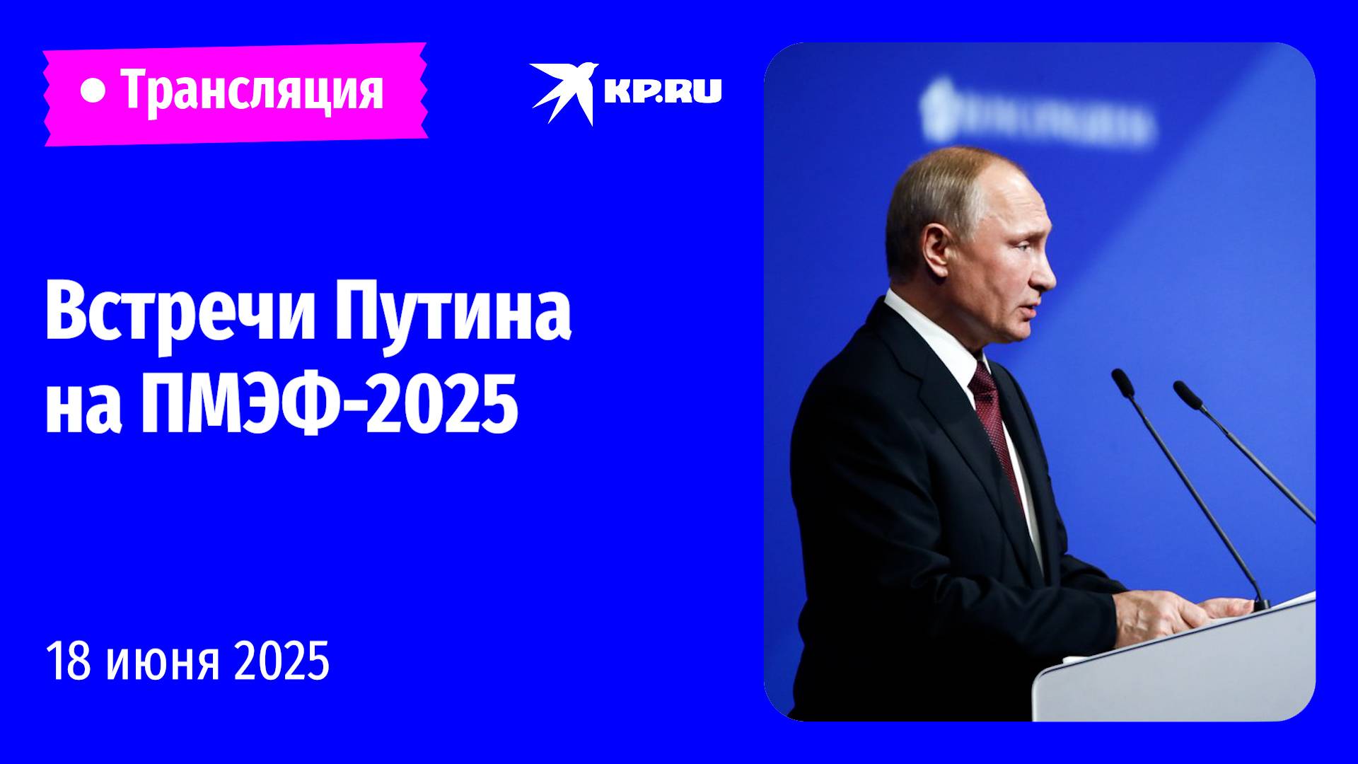 Владимир Путин проводит рабочие встречи на ПМЭФ-2025: прямая трансляция