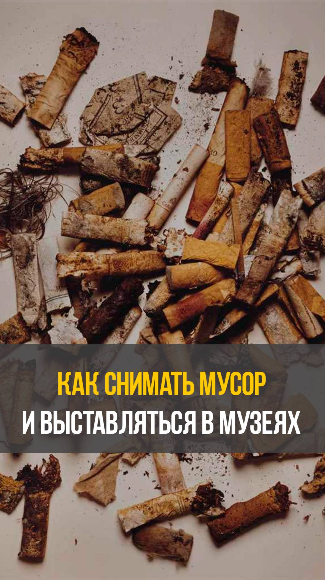 Как снимать мусор и выставляться в галереях