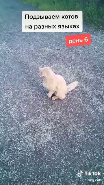 88ecb4ecc98f3ff9d5fedaada9e6f7b6_1747739782772.mp4