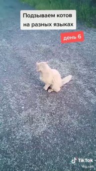 88ecb4ecc98f3ff9d5fedaada9e6f7b6_1747739782772.mp4