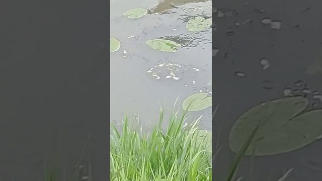 1000058291.mp4